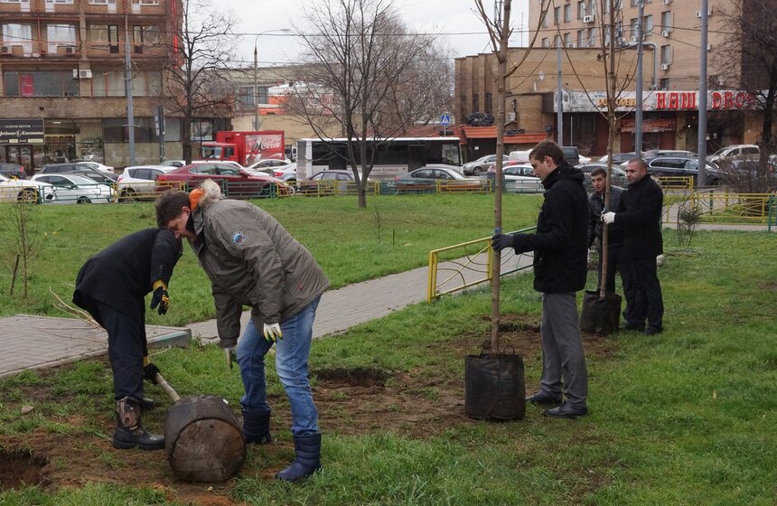 Акция по высадке деревьев прошла на улице 1905 года 3 фото
