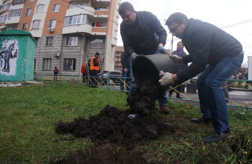 Акция по высадке деревьев прошла на улице 1905 года 4 фото
