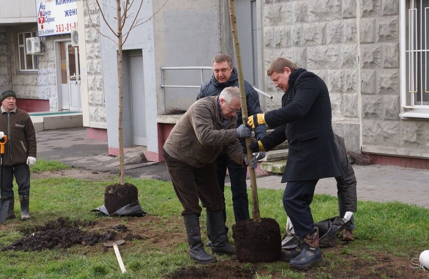 Акция по высадке деревьев прошла на улице 1905 года 12 фото