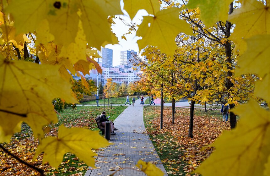 Заморозки приходят на смену теплой погоде в Москве 21 фото