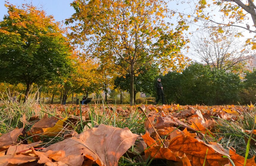 Заморозки приходят на смену теплой погоде в Москве 15 фото