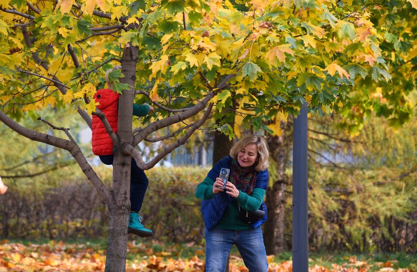 Заморозки приходят на смену теплой погоде в Москве 13 фото