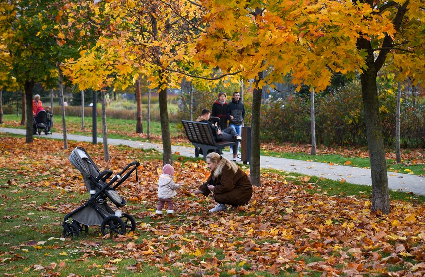 Заморозки приходят на смену теплой погоде в Москве 25 фото