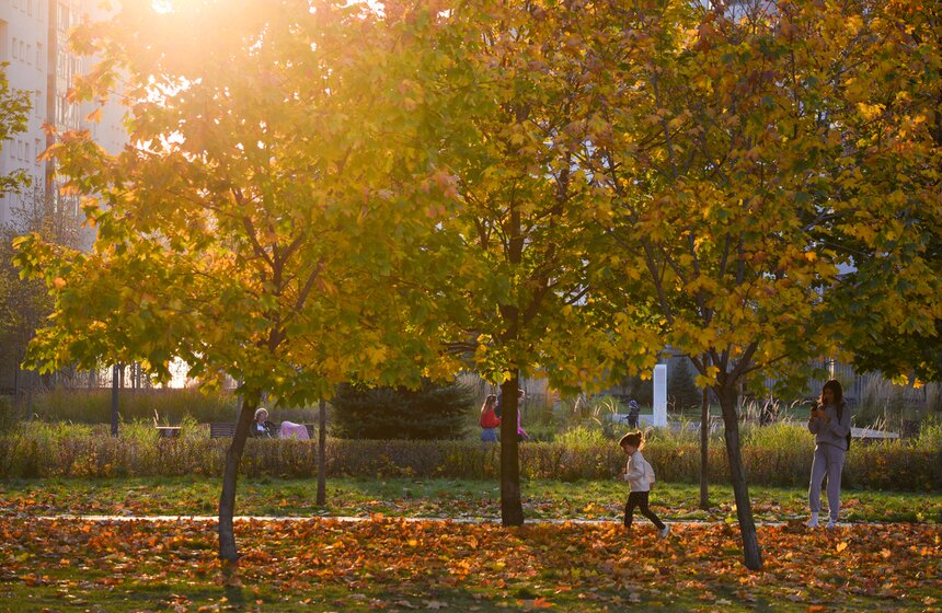 Заморозки приходят на смену теплой погоде в Москве 26 фото
