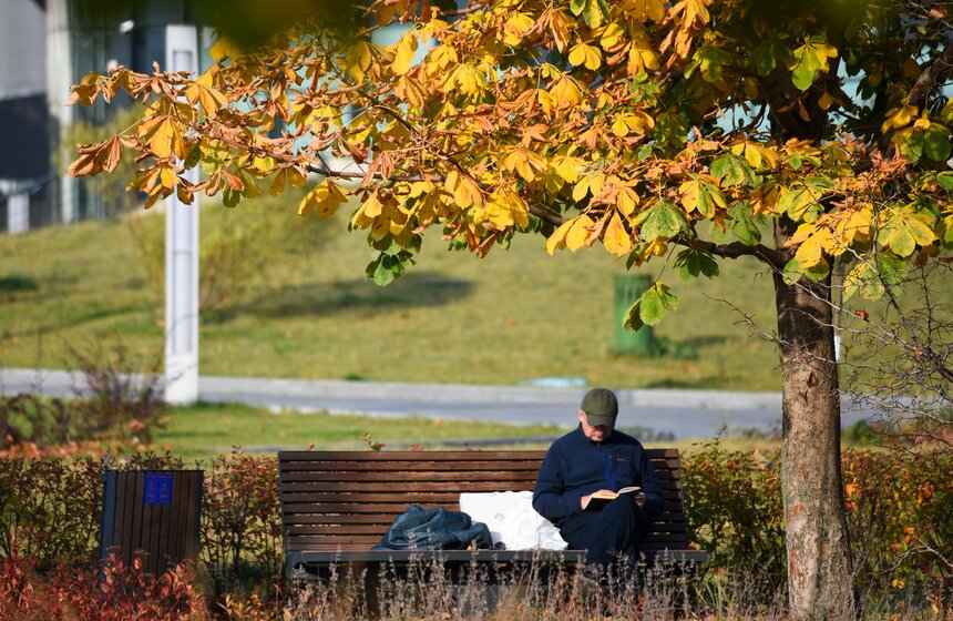 Заморозки приходят на смену теплой погоде в Москве 5 фото