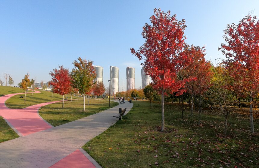 Заморозки приходят на смену теплой погоде в Москве 18 фото