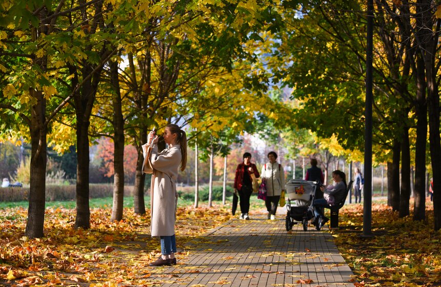 Заморозки приходят на смену теплой погоде в Москве 17 фото