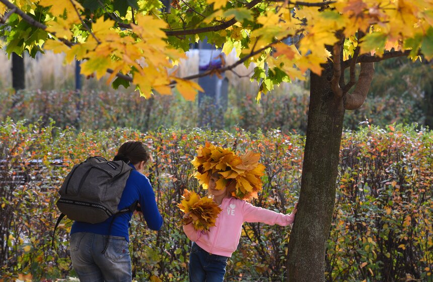 Заморозки приходят на смену теплой погоде в Москве 16 фото