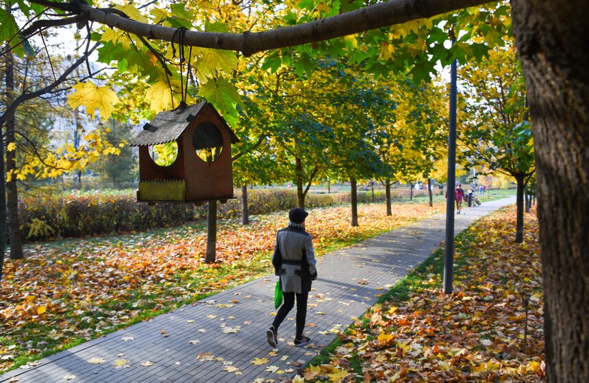 Заморозки приходят на смену теплой погоде в Москве 12 фото