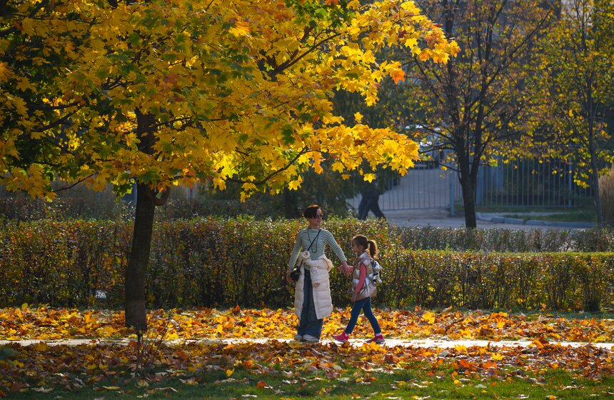 Заморозки приходят на смену теплой погоде в Москве 9 фото