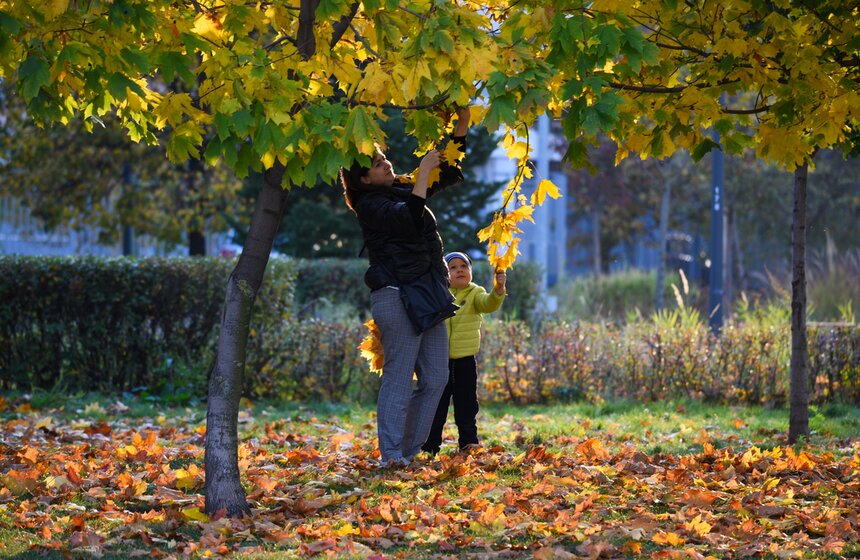 Заморозки приходят на смену теплой погоде в Москве 24 фото