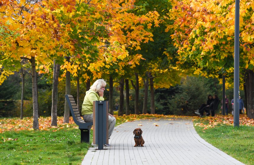 Заморозки приходят на смену теплой погоде в Москве 6 фото