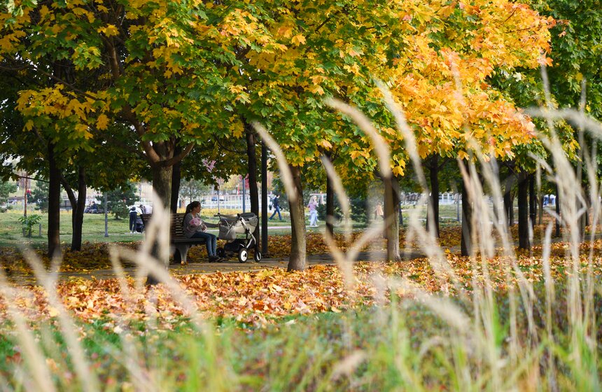 Заморозки приходят на смену теплой погоде в Москве 11 фото