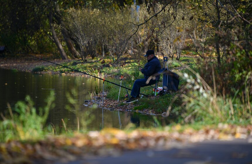 Заморозки приходят на смену теплой погоде в Москве 32 фото
