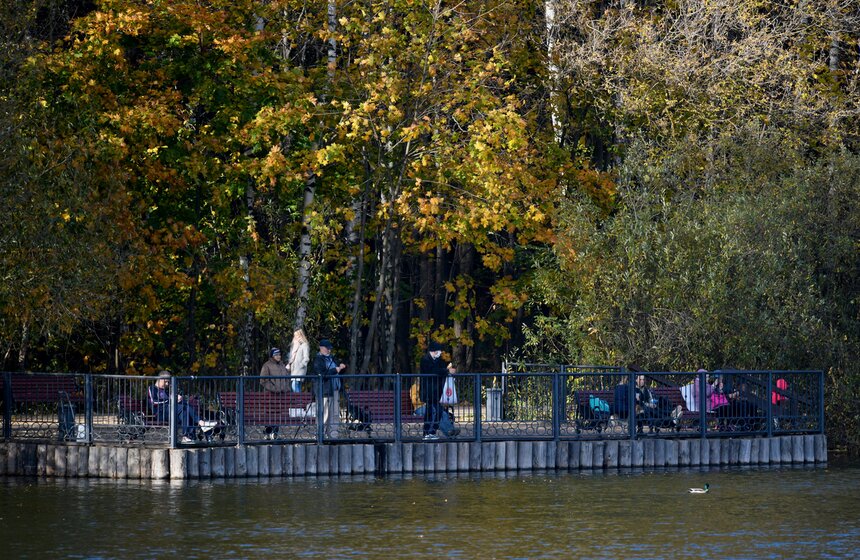 Заморозки приходят на смену теплой погоде в Москве 29 фото