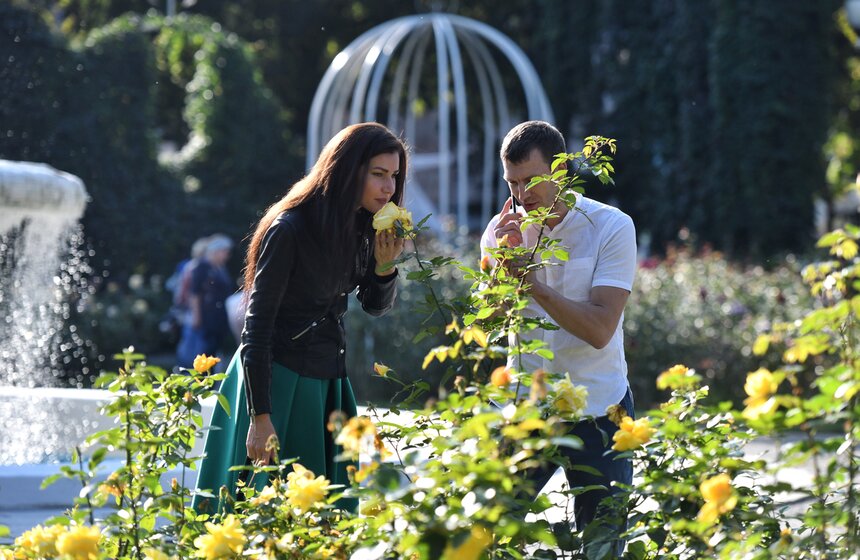 В Москву пришло бабье лето 4 фото