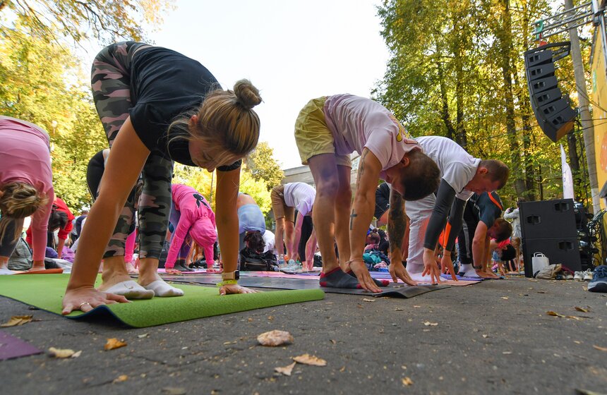 Все собранные в этот день средства и 10% с проданных в VIP-зону билетов направлены в Благотворительный Фонд Константина Хабенского