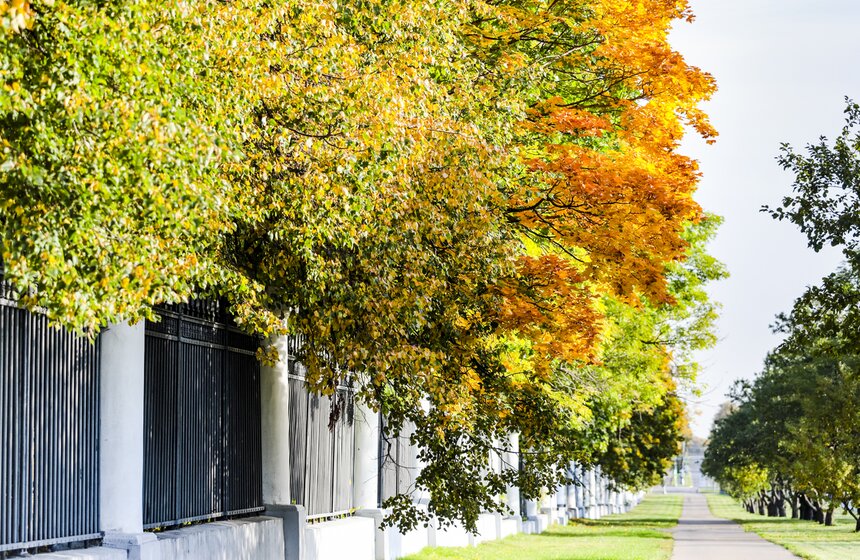 Москвичам пообещали возвращение бабьего лета 28 фото