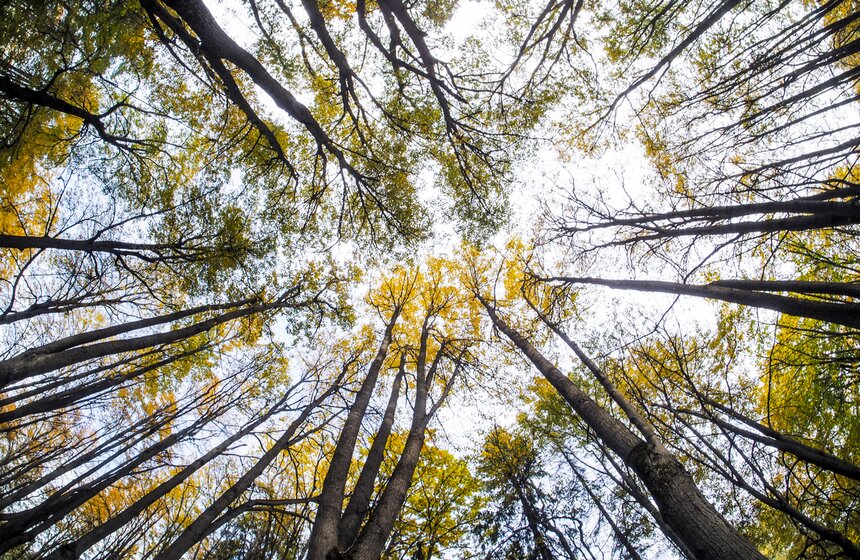 Москвичам пообещали возвращение бабьего лета 11 фото