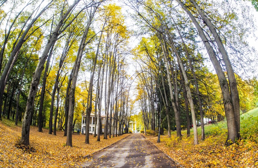 Москвичам пообещали возвращение бабьего лета 4 фото