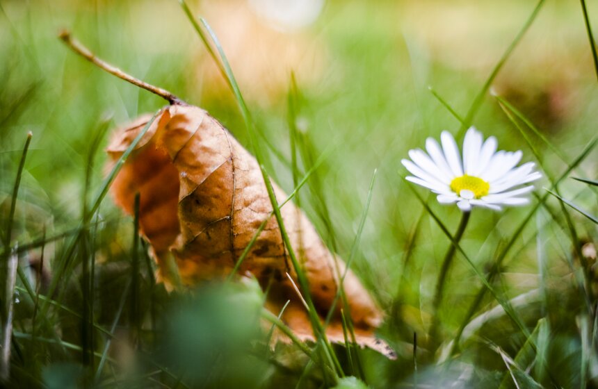 Москвичам пообещали возвращение бабьего лета 25 фото