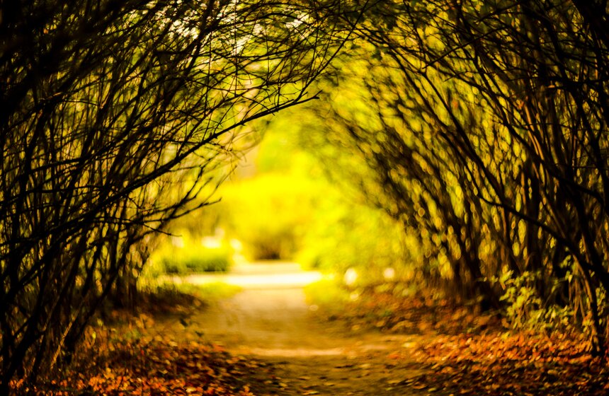 Москвичам пообещали возвращение бабьего лета 24 фото