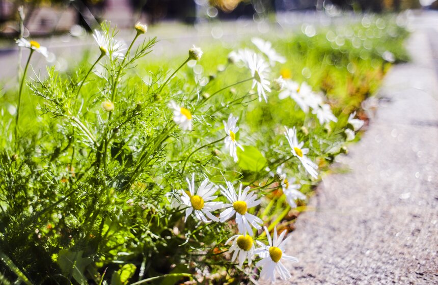 Москвичам пообещали возвращение бабьего лета 13 фото