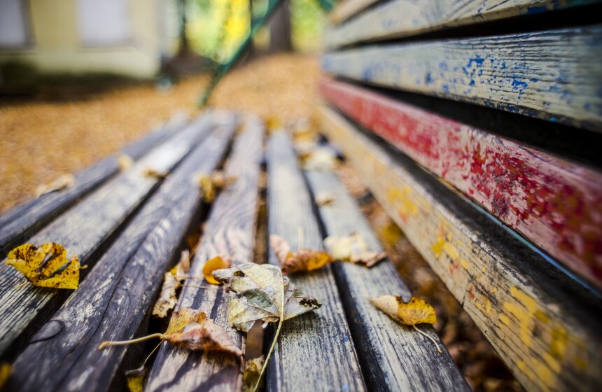 Москвичам пообещали возвращение бабьего лета 6 фото