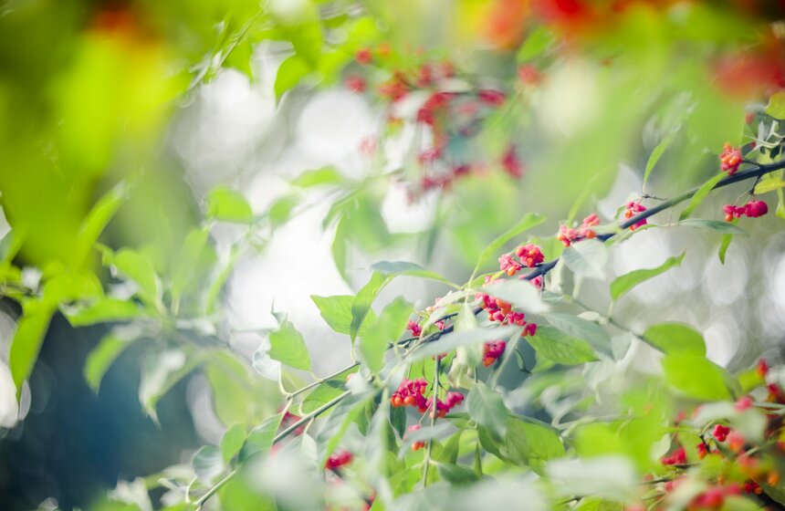 Москвичам пообещали возвращение бабьего лета 27 фото