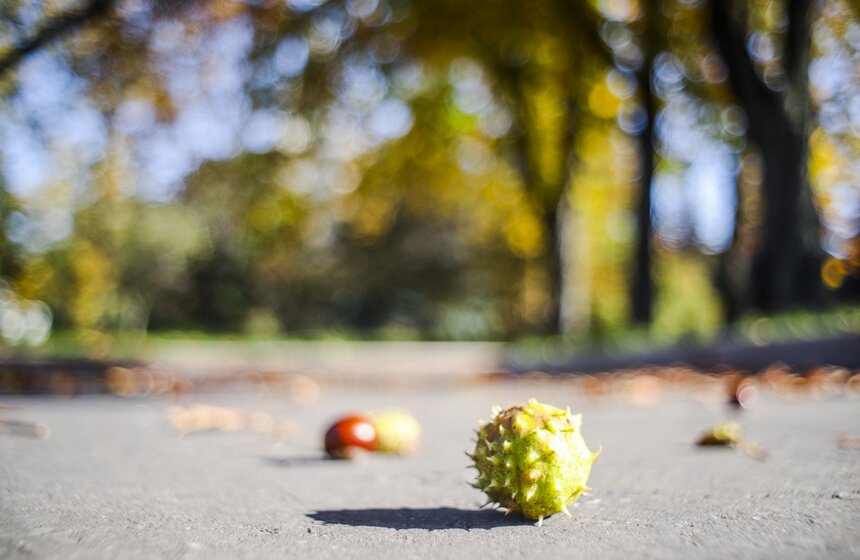 Москвичам пообещали возвращение бабьего лета 15 фото