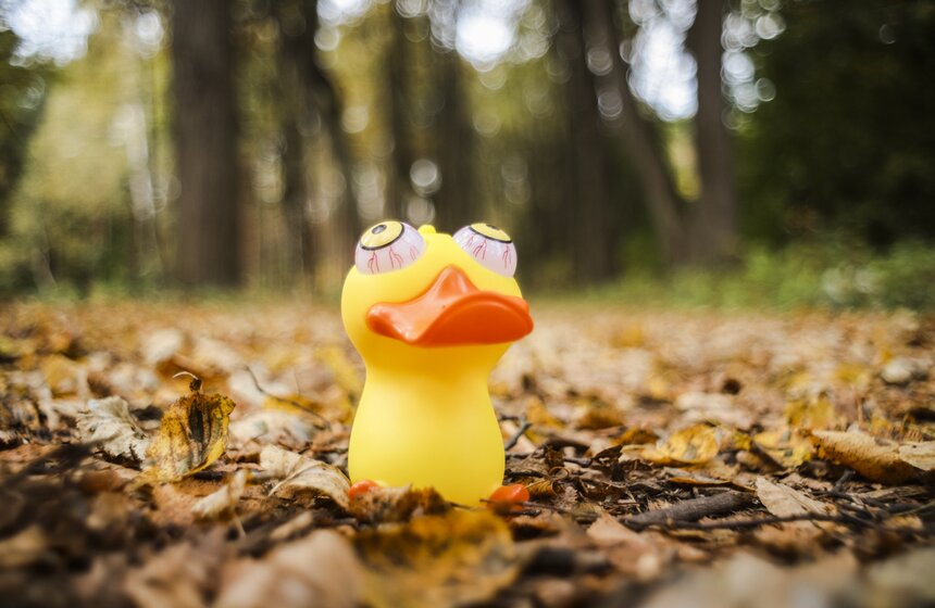 Москвичам пообещали возвращение бабьего лета 19 фото