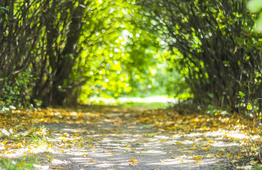 Москвичам пообещали возвращение бабьего лета 10 фото