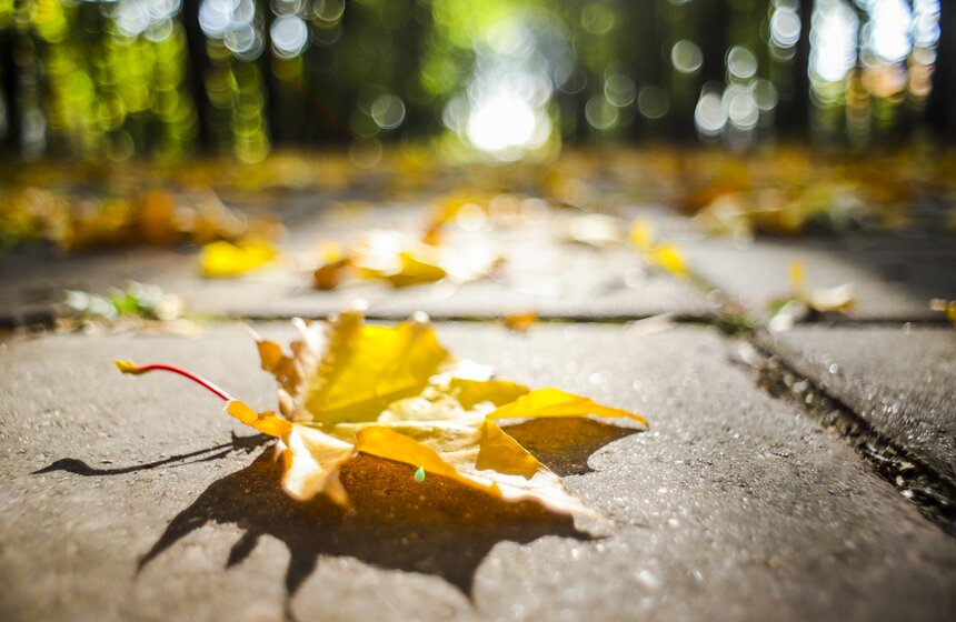 Москвичам пообещали возвращение бабьего лета 3 фото