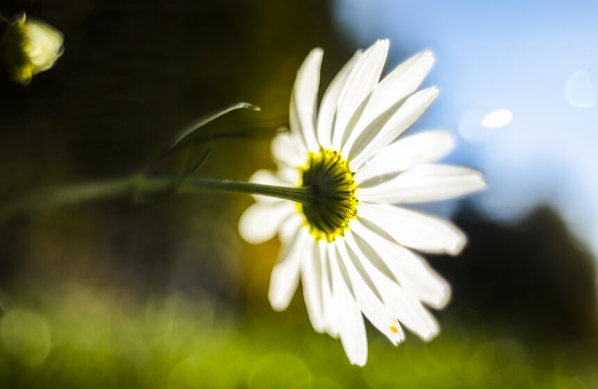 Москвичам пообещали возвращение бабьего лета 14 фото