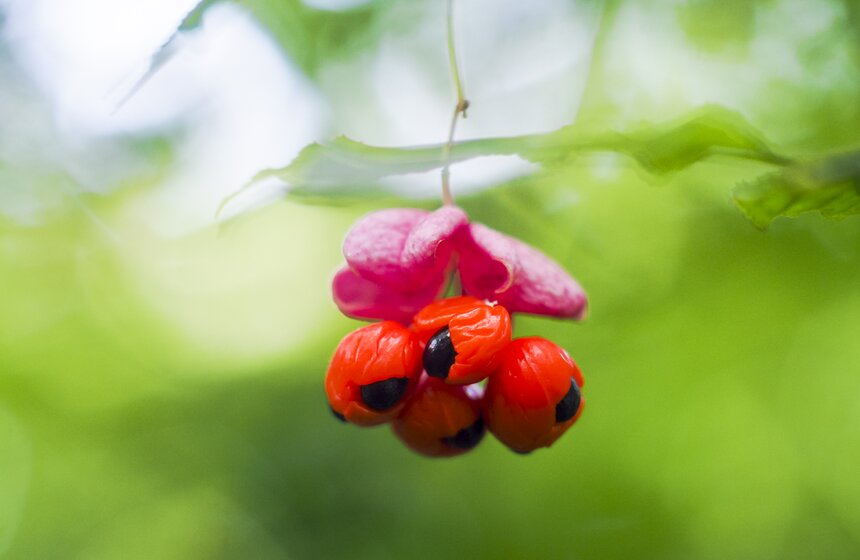 Москвичам пообещали возвращение бабьего лета 12 фото
