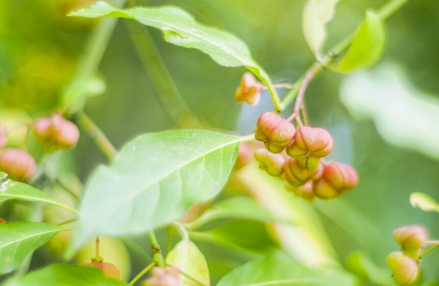 Москвичам пообещали возвращение бабьего лета 2 фото