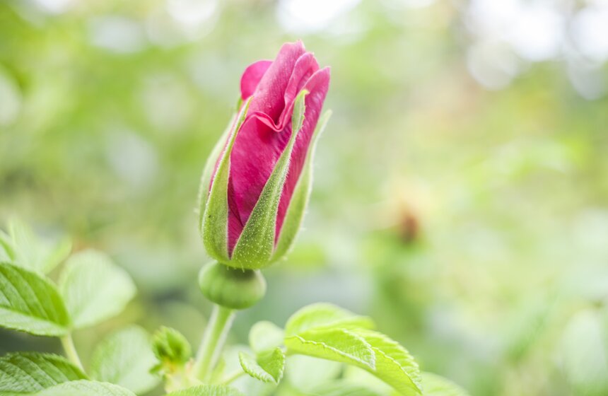 Москвичам пообещали возвращение бабьего лета 22 фото