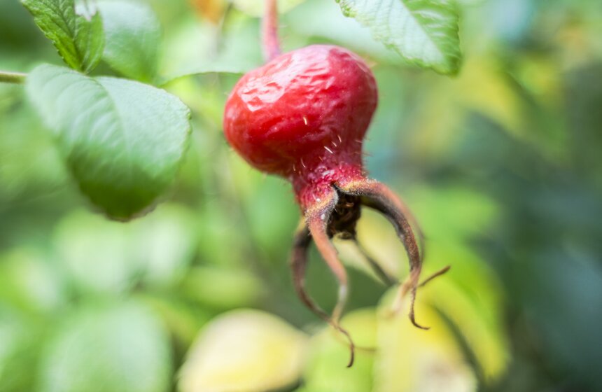 Москвичам пообещали возвращение бабьего лета 18 фото
