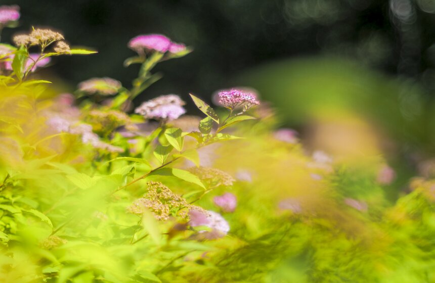 Москвичам пообещали возвращение бабьего лета 9 фото