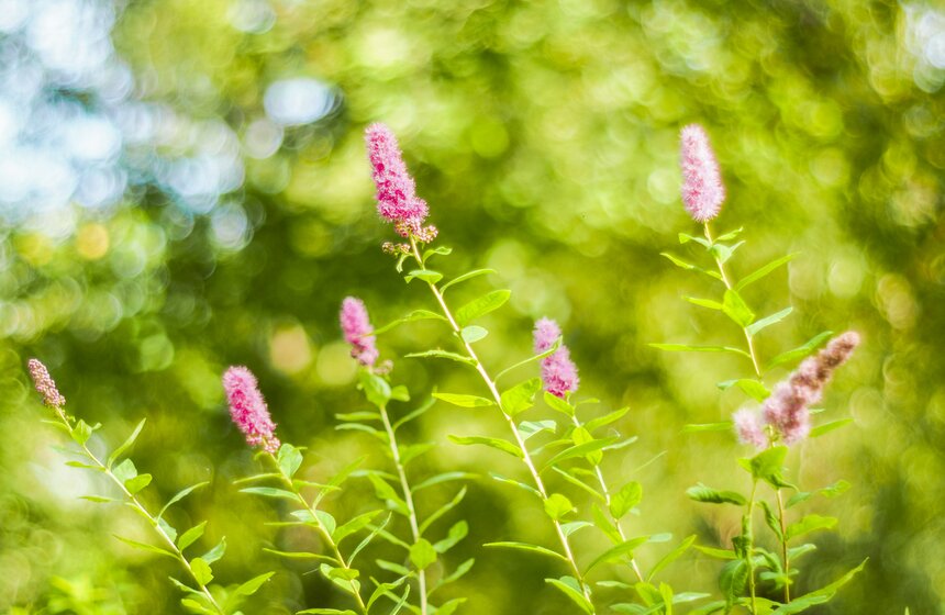 Москвичам пообещали возвращение бабьего лета 7 фото