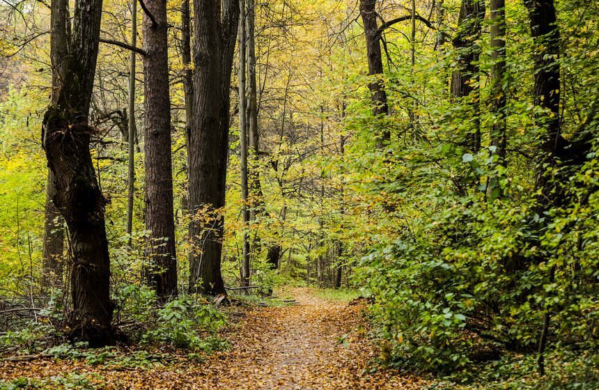 Москвичам пообещали возвращение бабьего лета 20 фото