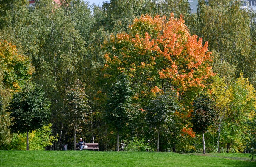 Теплая и солнечная погода установилась в Москве 12 фото