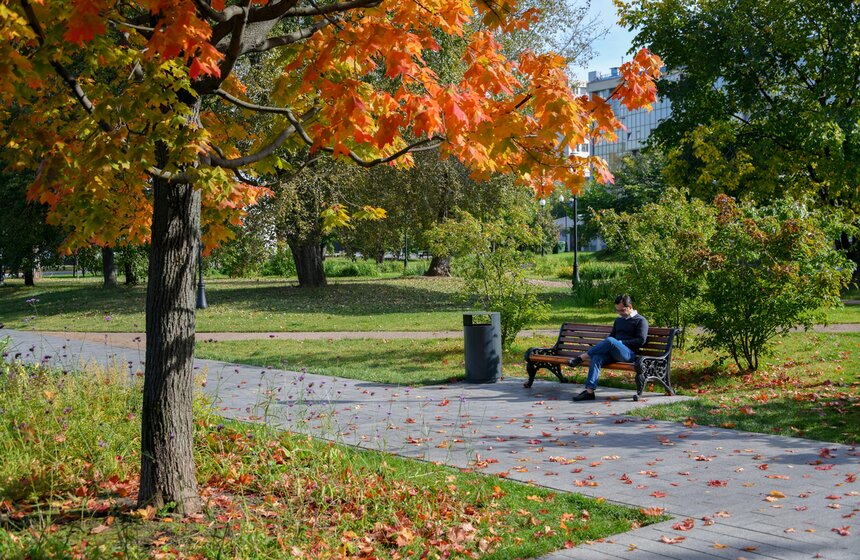Теплая и солнечная погода установилась в Москве 5 фото