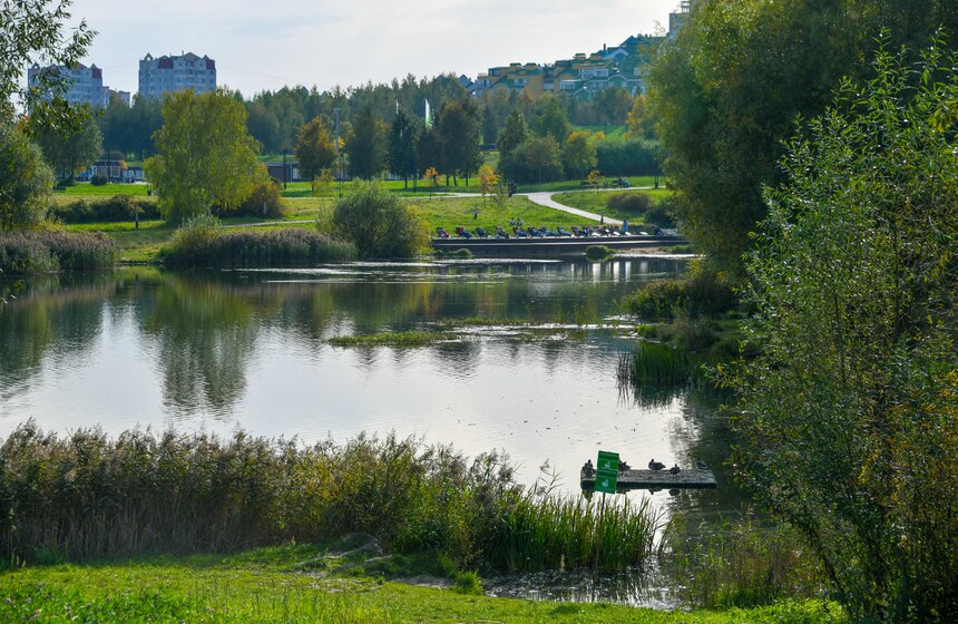 Теплая и солнечная погода установилась в Москве 20 фото