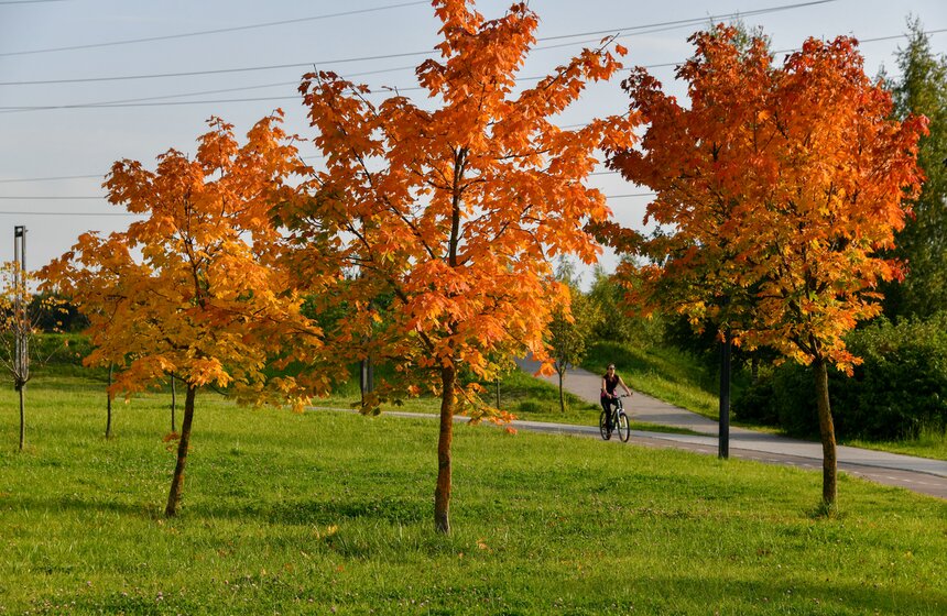 Теплая и солнечная погода установилась в Москве 14 фото