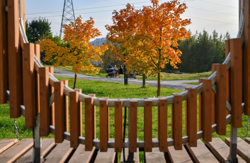 Теплая и солнечная погода установилась в Москве 28 фото