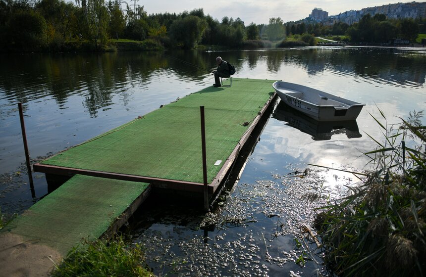 Теплая и солнечная погода установилась в Москве 23 фото
