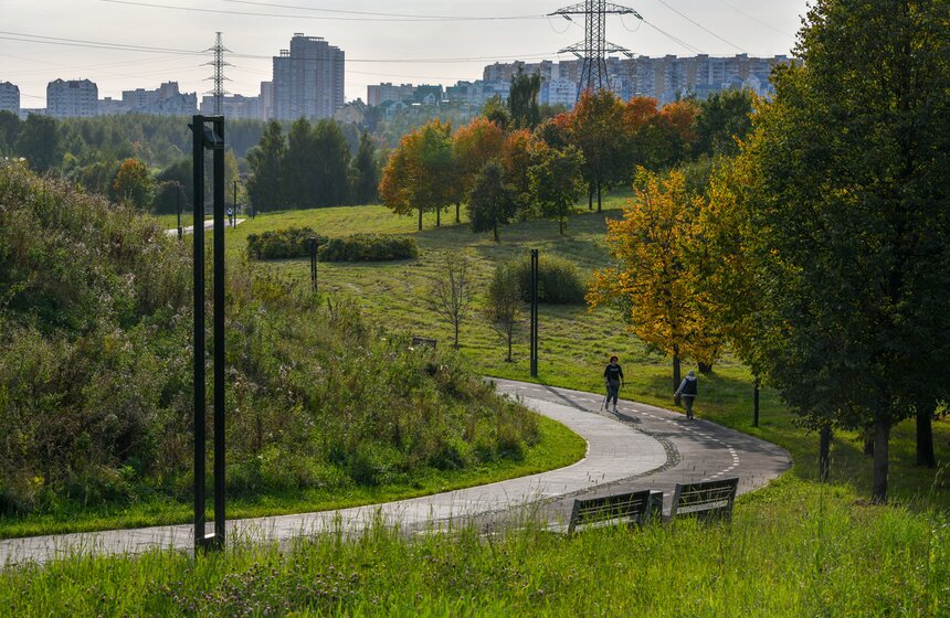 Теплая и солнечная погода установилась в Москве 26 фото