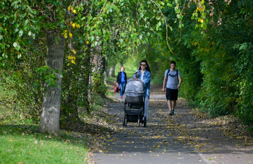 Теплая и солнечная погода установилась в Москве 13 фото