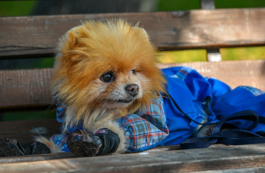 Теплая и солнечная погода установилась в Москве 16 фото